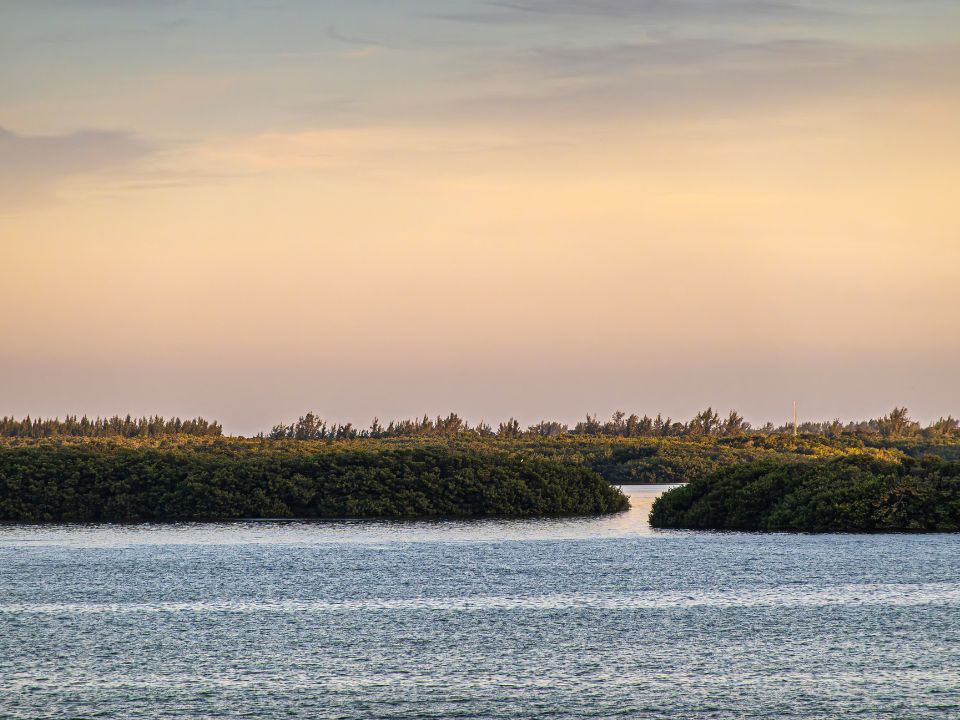 NW side of Virginia Key