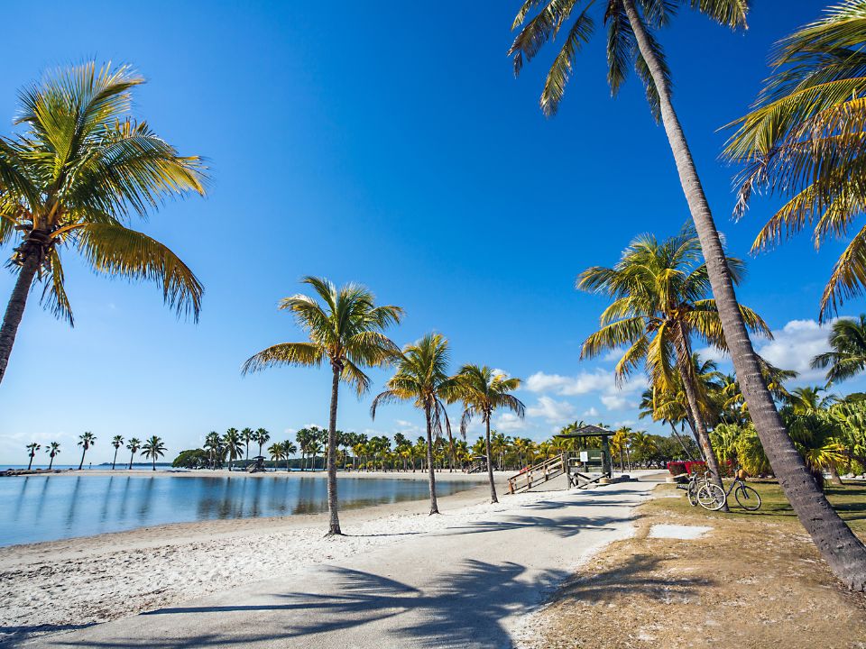 Matheson Hammock Park