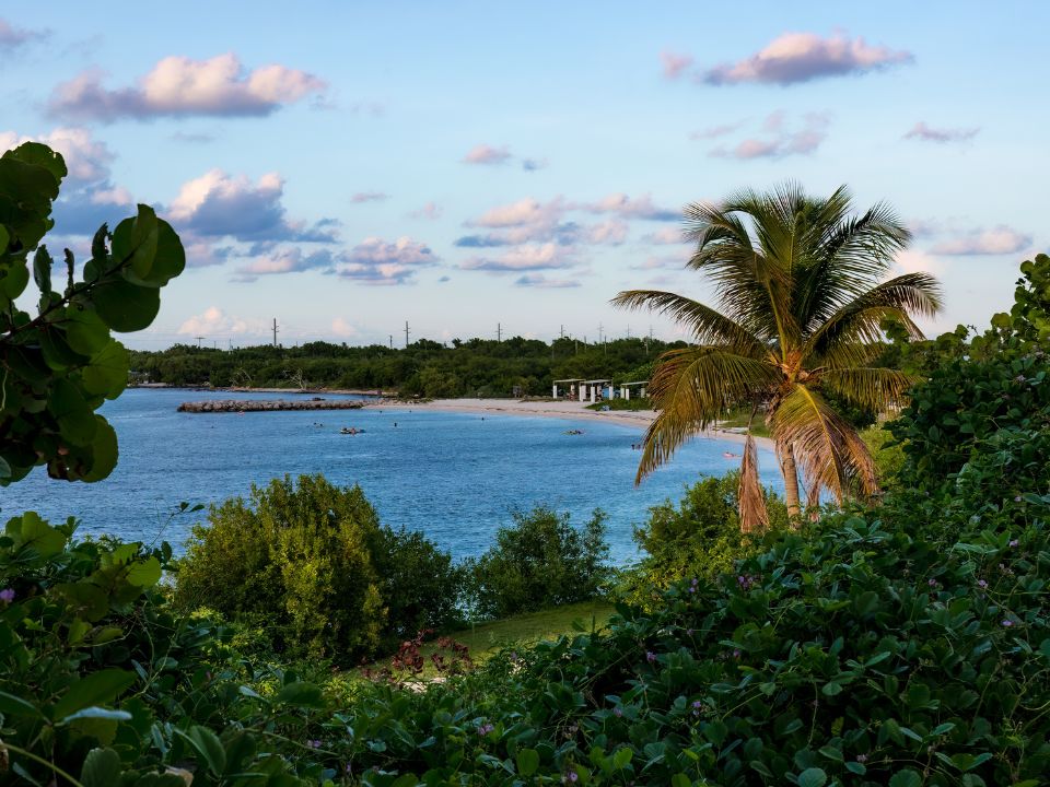 Calusa Beach Bahia Honda State Park