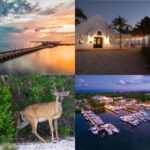 Best Things to do in the FL Keys