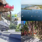 Coconut Grove Things to do