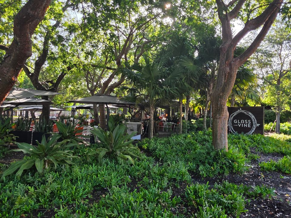 Glass and Vine in Coconut Grove