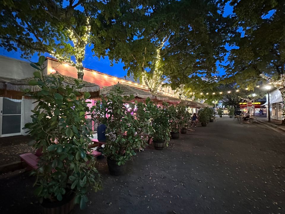 Fuller Street Coconut Grove