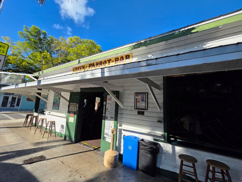 Green Parrot Bar