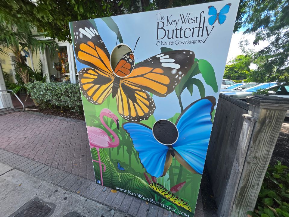 Key West Butterfly and Nature Conservatory