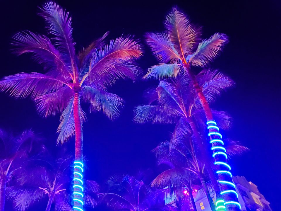 Neon Palm trees at South Beach in Miami