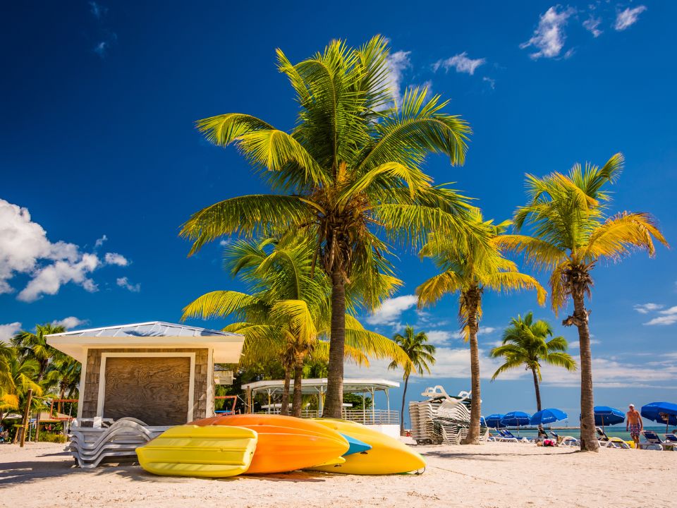Key West Beach and palm trees