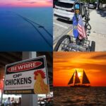 Collage of Florida Keys scenes with the headline What Not to Do in the Florida Keys