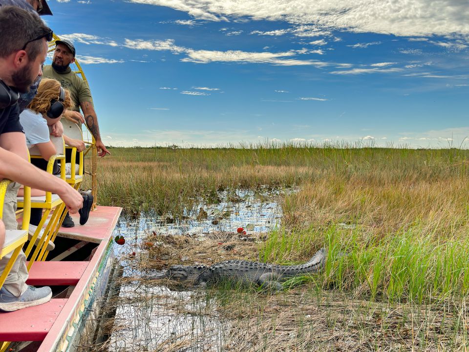 Tourists on an airboat ride looking at an alligator among reeds in the State's national park