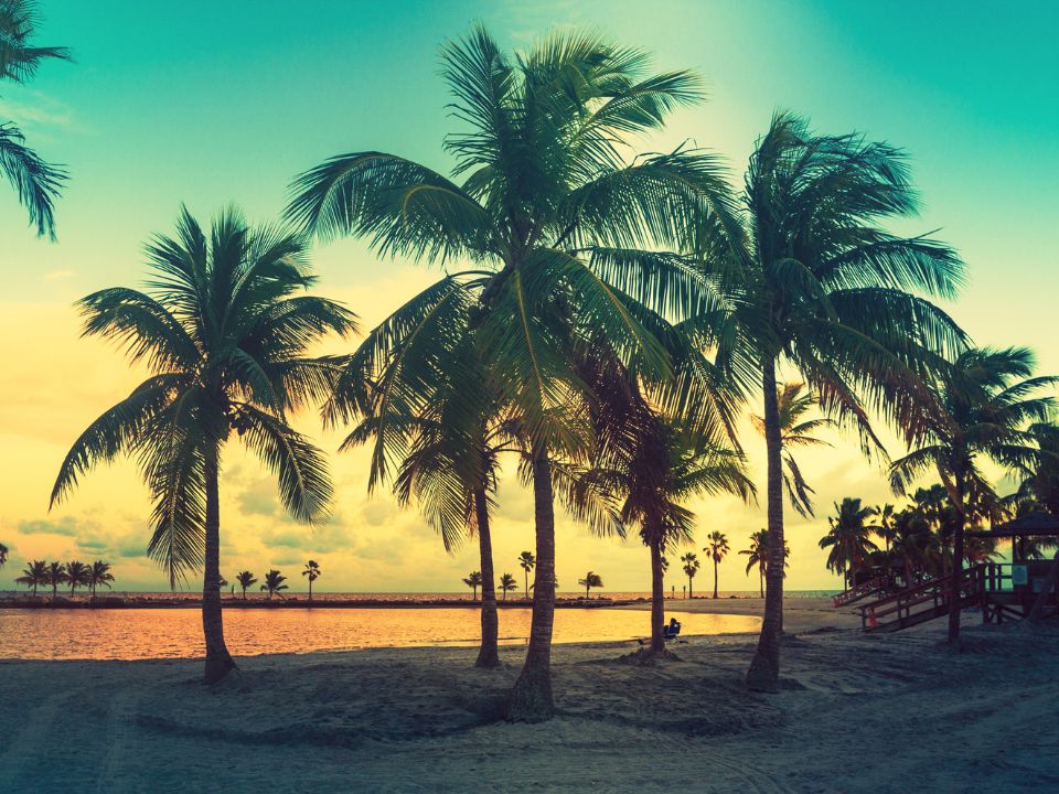 Matheson Hammock Park atoll pool at sunset