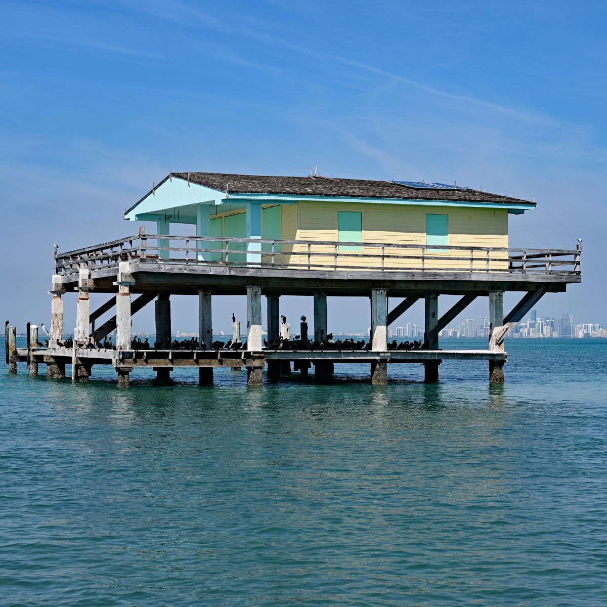 Cormorants resting on Bay Chateau, one of seven remaining stilt houses built over grass flats of Biscayne National Park.